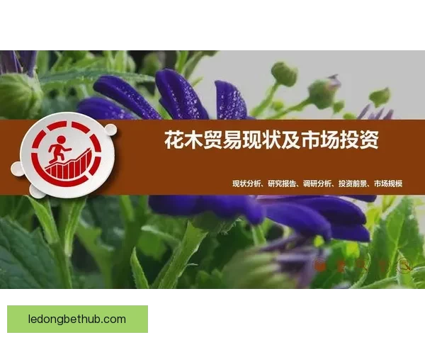 美加墨世界杯投注市场分析及投资机会探讨
